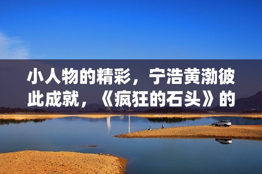 小人物的精彩，宁浩黄渤彼此成就，《疯狂的石头》的成功不无道理(小人物的精彩句子)