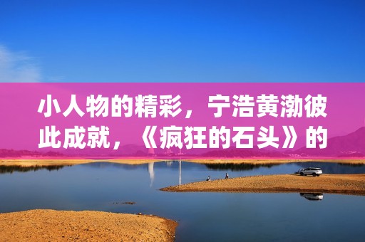 小人物的精彩，宁浩黄渤彼此成就，《疯狂的石头》的成功不无道理(小人物的精彩作文)