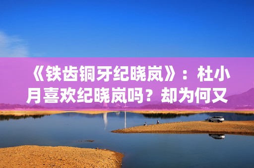《铁齿铜牙纪晓岚》：杜小月喜欢纪晓岚吗？却为何又两次嫁人？(铁齿铜牙纪晓岚片尾曲)