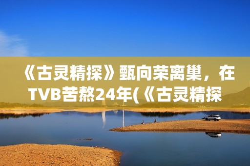 《古灵精探》甄向荣离巢，在TVB苦熬24年(《古灵精探》甄子丹结局)