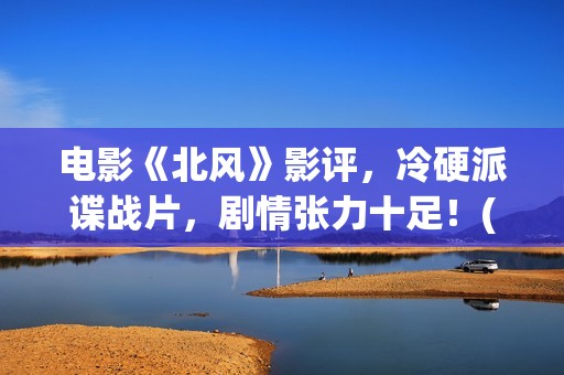 电影《北风》影评，冷硬派谍战片，剧情张力十足！(电影《北风》影评分析)