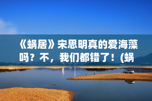 《蜗居》宋思明真的爱海藻吗？不，我们都错了！(蜗居宋思明是什么身份)