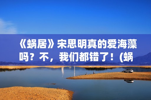 《蜗居》宋思明真的爱海藻吗？不，我们都错了！(蜗居宋思明老丈人是什么官)