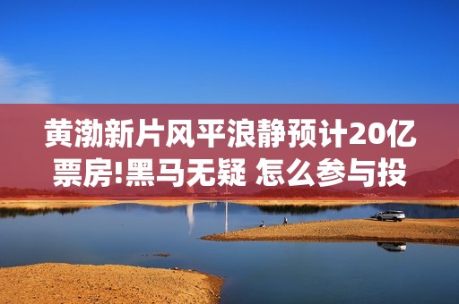 黄渤新片风平浪静预计20亿票房!黑马无疑 怎么参与投资(风平浪静黄渤出品方)