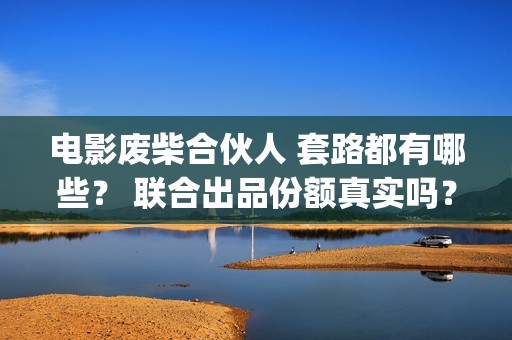 电影废柴合伙人 套路都有哪些？ 联合出品份额真实吗？(废柴兄弟 百度百科)