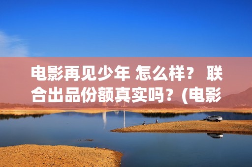 电影再见少年 怎么样？ 联合出品份额真实吗？(电影再见少年结局是什么)