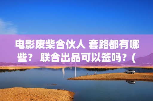 电影废柴合伙人 套路都有哪些？ 联合出品可以签吗？(电影废柴合伙人演员表)