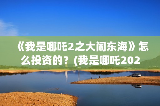 《我是哪吒2之大闹东海》怎么投资的？(我是哪吒2021)