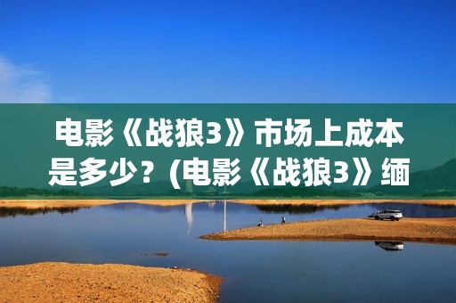 电影《战狼3》市场上成本是多少？(电影《战狼3》缅北营救)