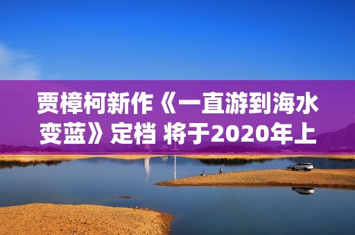 贾樟柯新作《一直游到海水变蓝》定档 将于2020年上映(贾樟柯的文艺片)