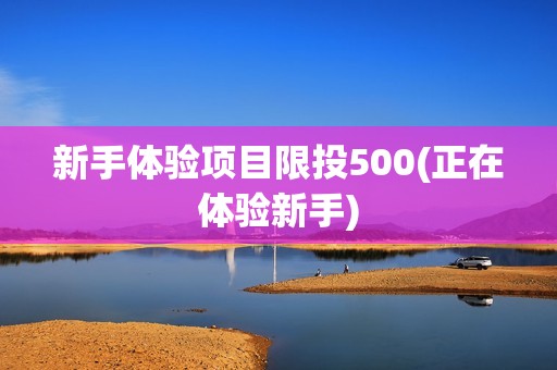 新手体验项目限投500(正在体验新手)
