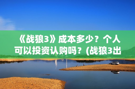 《战狼3》成本多少？个人可以投资认购吗？(战狼3出品公司)