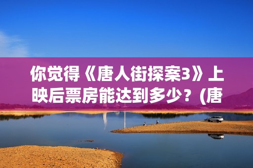 你觉得《唐人街探案3》上映后票房能达到多少？(唐人街讲的什么意思)