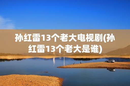 孙红雷13个老大电视剧(孙红雷13个老大是谁)