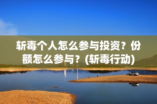 斩毒个人怎么参与投资？份额怎么参与？(斩毒行动)