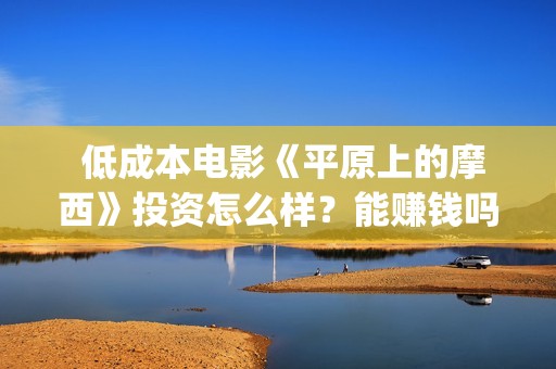  低成本电影《平原上的摩西》投资怎么样？能赚钱吗？(低成本高口碑电影)