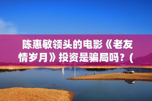  陈惠敏领头的电影《老友情岁月》投资是骗局吗？(陈惠敏个人)