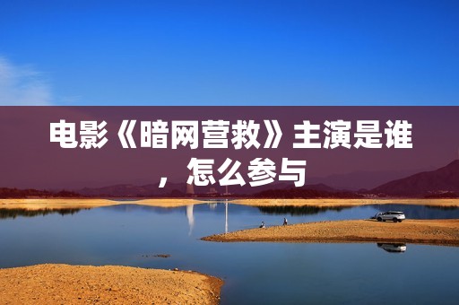 电影《暗网营救》主演是谁，怎么参与