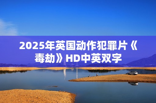 2025年英国动作犯罪片《毒劫》HD中英双字
