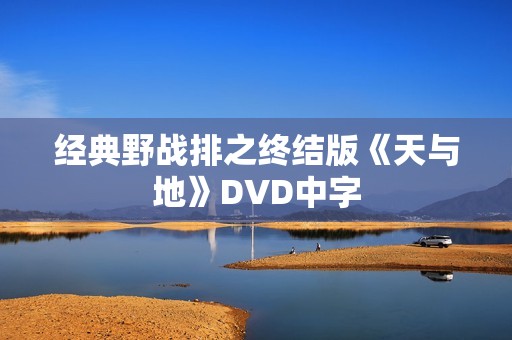经典野战排之终结版《天与地》DVD中字
