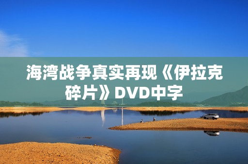 海湾战争真实再现《伊拉克碎片》DVD中字