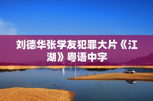 刘德华张学友犯罪大片《江湖》粤语中字