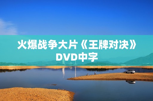 火爆战争大片《王牌对决》DVD中字