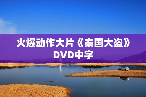 火爆动作大片《泰国大盗》DVD中字