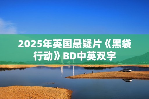 2025年英国悬疑片《黑袋行动》BD中英双字