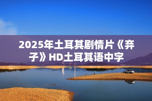 2025年土耳其剧情片《弃子》HD土耳其语中字