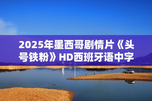 2025年墨西哥剧情片《头号铁粉》HD西班牙语中字