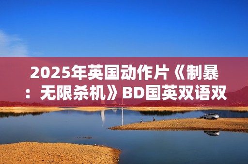 2025年英国动作片《制暴：无限杀机》BD国英双语双字修正版
