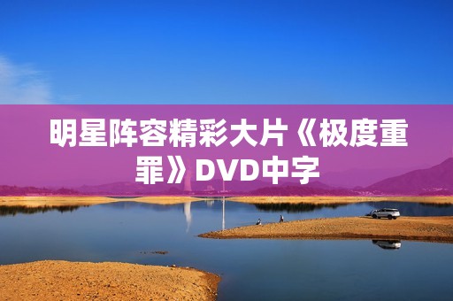 明星阵容精彩大片《极度重罪》DVD中字
