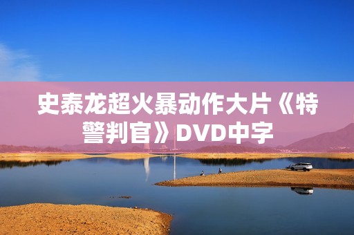 史泰龙超火暴动作大片《特警判官》DVD中字