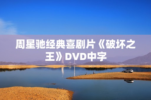 周星驰经典喜剧片《破坏之王》DVD中字
