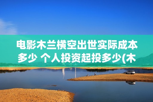 电影木兰横空出世实际成本多少 个人投资起投多少(木兰横空出世 动画片)