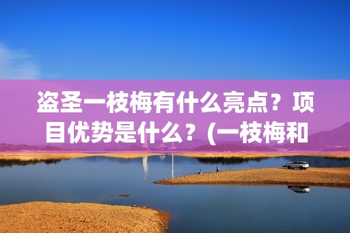 盗圣一枝梅有什么亮点？项目优势是什么？(一枝梅和逆贼)