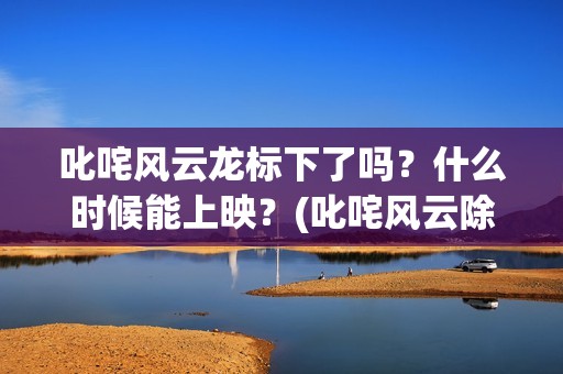 叱咤风云龙标下了吗？什么时候能上映？(叱咤风云除了龙还有谁)