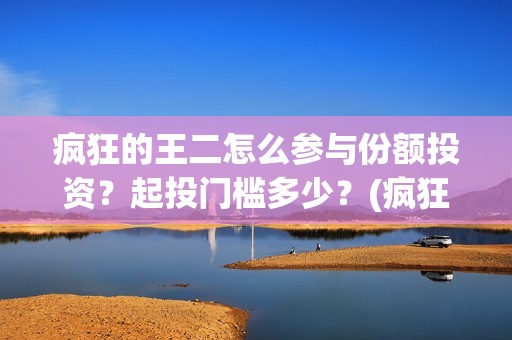 疯狂的王二怎么参与份额投资？起投门槛多少？(疯狂的王二怎么下载安装)