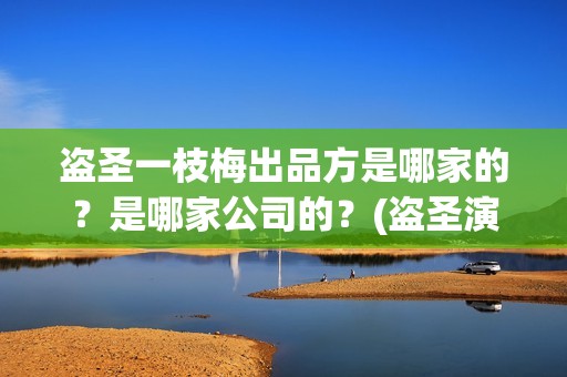 盗圣一枝梅出品方是哪家的？是哪家公司的？(盗圣演盗圣)