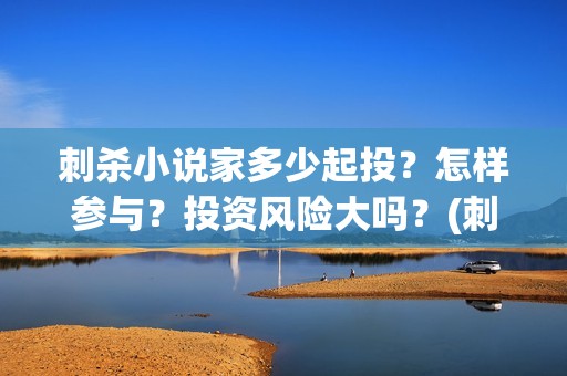 刺杀小说家多少起投？怎样参与？投资风险大吗？(刺杀小说家多少分)