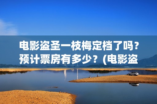 电影盗圣一枝梅定档了吗？预计票房有多少？(电影盗圣一枝梅简介)