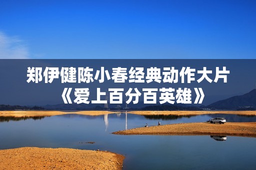 郑伊健陈小春经典动作大片《爱上百分百英雄》 郑伊健陈小春经典动作大片《爱上百分百英雄》