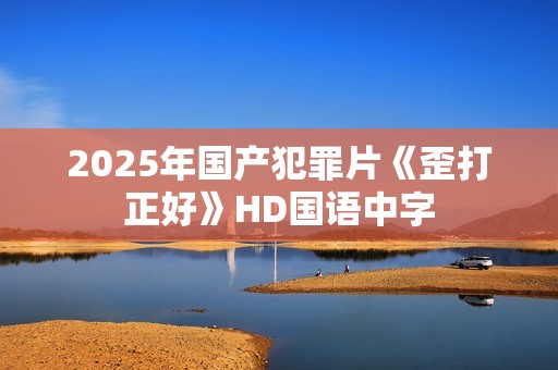 2025年国产犯罪片《歪打正好》HD国语中字