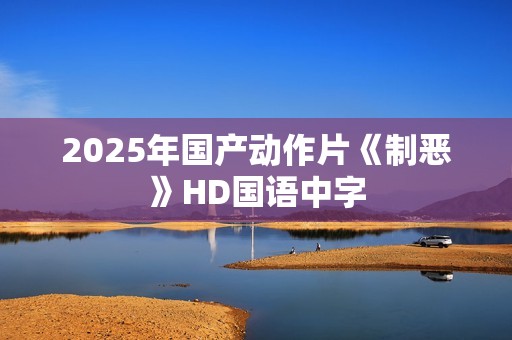 2025年国产动作片《制恶》HD国语中字