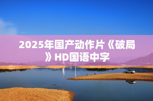 2025年国产动作片《破局》HD国语中字