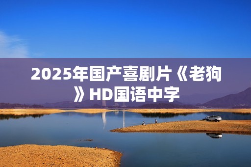 2025年国产喜剧片《老狗》HD国语中字