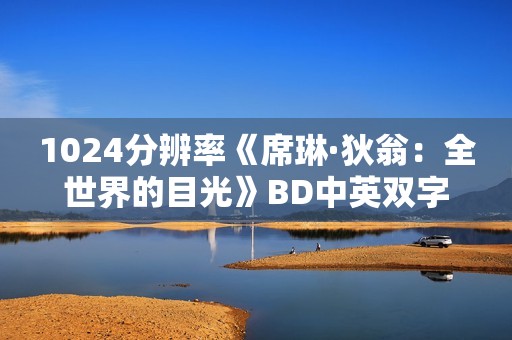 1024分辨率《席琳·狄翁：全世界的目光》BD中英双字无水印