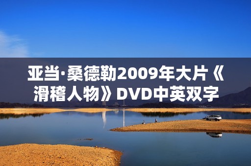 亚当·桑德勒2009年大片《滑稽人物》DVD中英双字