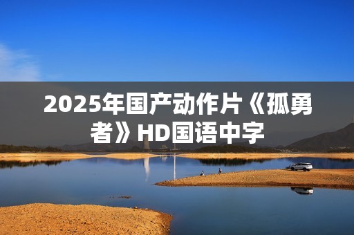 2025年国产动作片《孤勇者》HD国语中字